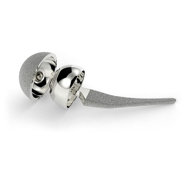Orthopedic Hip Replacement